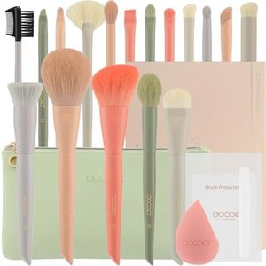 Docolor Ma
