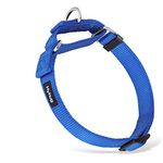 Strong Nylon Not Escapable Martingale Dog Collar for Medium Boy and Girl Dogs - Walking Training Daily Use. (Medium, Bright Blue)