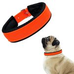 Aik India Dog Collar for Small Medium Large Dogs, Soft Padded Dog Belt Neck Collar, Dog Belt for Puppy - Pug, Beagle, Basenji, Chow Chow, (Small)