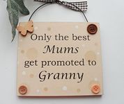 Only the best Mums get promoted to Granny peach wooden gift plaque