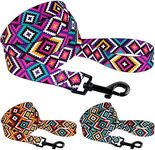 CollarDirect Aztec Dog Leash Nylon Tribal Pattern Cat Pet Leashes for Small Medium Large Dogs Puppy Lead 5 FT Long for Walking (Tribal Magenta, L)