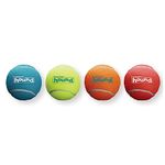 Outward Hound Squeaker Ballz Fetch Dog Toy, XS - 4 Pack