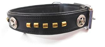 Dap Dog Collar