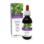 Lemon Balm (Melissa officinalis) Leaves Alcohol-Free Mother Tincture Naturalma - Liquid Extract Drops 120 ml - Food Supplement - Vegan