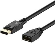 Rankie DisplayPort (DP) Male to DisplayPort (DP) Female Extension Cable, Compatible with Gaming Monitor, TV, PC, Laptop, 6 Feet (Black)