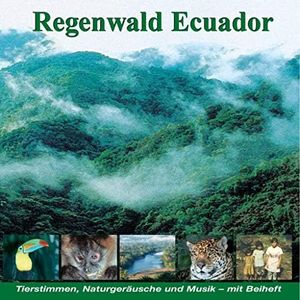 Regenwald Ecuador