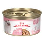 Royal Canin Feline Health Nutrition Kitten Thin Slices in Gravy Canned Cat Food, 3 oz can (24-Count)