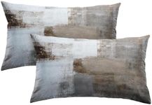 Britimes Throw Pillow Covers Modern Home Art Decor, 12 x 20 Inches Set of 2 Abstract Oil Painting Pillowcases for Bedroom, Living Room, Cushion Couch Sofa, Beige Home Grey Brown