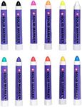 12 Assorted Colors Sakura Paint Marker Set