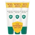 Burt's Bees Rescue Lip Relief Lip B
