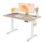 YDN Electric Standing Desk, Adjusta