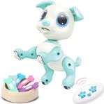 BIRANCO. Interactive RC Dog Toy - C