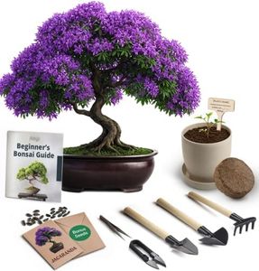 Bonsai Starter Kit – Growing Jacaranda Bonzai Tree from Seeds | Complete Indoor Tree Kit for Growing Plants with Tools & Planter – Gardening Gifts for Mother, Women & Men