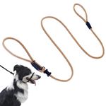 Multifunctional Figure 8 Padded Head Halter Walking Training Reflective Slip Lead Dog Muzzle Leash (Tan)