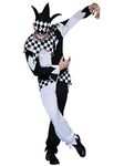 Rubie's 810994STD Official Dark Jester Halloween Circus Costume, Men's, Standard Size Halloween Halloween