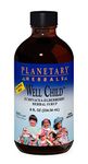 Planetary Formulas Well Child, Echinacea-Elderberry Syrup, 8 fl oz (236.56 ml)