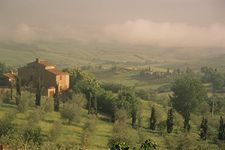 Brewster National Geographic Tuscany Wall Mural Decal