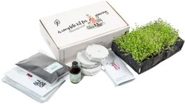 AllThatGrows Complete Microgreen Growing Kit - 4 Varieties Of Microgreen Seeds - 4 Reusable Grow Bag Trays - 4 Cocopeat Soil Discs - 1 Bag Of Organic Vermicompost - 1 Bottle Of Organic Seaweed Extract