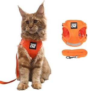 Travel Cat & Stray Cat Harness and Leash Set - Adjustable Fit Mesh Cat Harness and Reflective Strap - Comfort Escape Proof Harness for Cats, Kitten for Outdoor Walking,Hiking (Small, Orange)