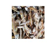 Stylo Dried Anchovy 1kg | Nethali | Netholi kaduva