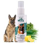 Dr. Pet Plus Dry Bath Dog Shampoo for German Shepherd Dog & Puppy| Cleanse, Conditioned, Soft, Smooth Coat, Fresh Fragrance & Removes Dirt | Waterless Spray Easy to Use, All Types of Dog –100Ml