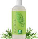 Clarifying Shampoo for Build Up & Oily Hair - Tea Tree Shampoo for Men and Women with Rosemary Essential Oil for Oily Hair and Scalp - Color Safe Vegan Sulfate Silicone & Paraben Free (10 Fl Oz)