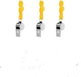 Sporting Goods Stainless Steel Whistle with Lanyard,Whistle for Coaches, Referees, Training Crisp Sound Whistle with Lanyard for School Sports, Soccer,Football, Basketball,3 Packs Whistle for Kids