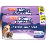 Hartz Home Protection Odor Eliminating Scented Dog Pads, Super Absorbent & Wonââ‚¬â„¢t Leak, Lavender Scent, XX Large Size Pads, 80 Count