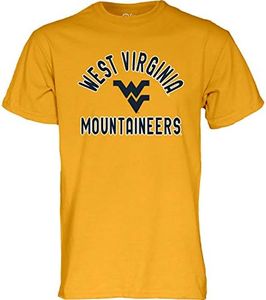 NCAA West Virginia Mountaineers Mens T Shirt Line Up Secondary Color, West Virginia Mountaineers Gold, Medium