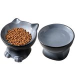 Nihow Elevated Cat/Dog Bowls Set : 6.2 Inch Ceramic Raised Cat Food & Water Bowl Set for Protecting Pet's Spine - Feeding & Watering Supplies for Cat/Small Size Dog - Elegant Gray(2PC)