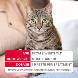 Beaphar FIPROtec Combo Cat Flea Treatment – Spot-On Protection