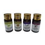 Therapeutic Grade Aromatherapy Essential Oils [Set of 4] for Massage, Diffuser, Bath, Perfume - Frankincense; Clary Sage; Ylang Ylang & Clove 5ml Bottles