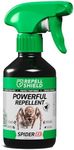 RepellShield Spider Repellent Spray - Natural Peppermint Oil, Pet-Safe, Non-Toxic, High Efficiency Pest Control for Homes, Mint Scented, Versatile Indoors & Outdoors - Responsible Eradication, 250ml