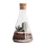 Suck UK | Terrarium Kit | Grow Your Own Terrarium Plants | Indoor Plant Kit | Terrarium Jar, Terrarium Soil & Activated Charcoal | Plant Gifts & Gardening Gifts For Men | Terrarium Tools Gardening Kit