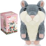TWORIVER Toddler Toys Talking Hamst