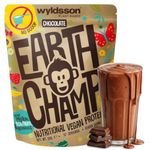 Vegan Protein Powder EarthChamp by Wyldsson - Plant Based Chocolate Protein Powder Shake, Dairy Free, Gluten Free, Lactose Free Protien Powder (2kg No Scoop)