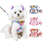 Lukovee Puppy Harness and Leash Set, No Pull Lightweight Pet Harness Vest for Puppy Small and Medium Size Dog, Adjustable Soft Suede Dog Leash Set (Blue Flower, S)