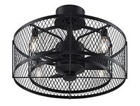 Fanimation Ceiling Fan with LED Light Kit, Metal, Aged Bronze