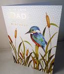 Dad Birthday Card Gold Foiled with Kingfisher on Reeds, Verse Inside Quality Card from Nigel Quiney Pizzaz Range DR 483