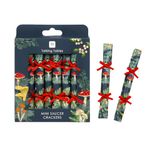 Talking Tables Handmade Eco-Friendly Saucer Christmas Crackers | Mini Size | Mushroom Themed Design | Contains Joke/Questions | Plastic-Free | Recyclable Tableware for Xmas, Size 13cm Pack of 8