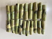 Kenyan Jumbo Napier Grass,केनियन ग्रास, Kenyan Napier, केनियन जम्बो नेपियर,Out of country Napier,New variety, Sugarcane cross variety, Yash Goat Farm & Seeds, Pack of 10 sticks (2 Nodes each).