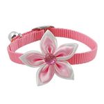 BohoBark Cat Collar with Bell,Kitten Kitty & Small Dogs Soft Adjustable New and styleash Design Collar Colour May Very (Pink)