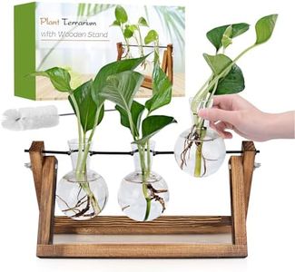 Renmxj Plant Propagation Station, Plant Terrarium with Wooden Stand, Unique Gardening Birthday Gifts for Women Plant Lovers, Home Office Garden Decor Planter - 3 Bulb Glass Vases