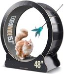 Nordic Beast 48'' Cat Exercise Wheel - Large Indoor Cat Treadmill - Paw & Claw Friendly, Silent, Sturdy, Easy Assembly - for Cats & Small Dogs