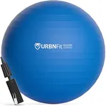 URBNFit Exercise Ball (65 Cm) for S