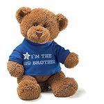GUND “I’m The Big Brother” Message 
