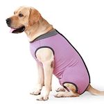 HEYWEAN Dog Recovery Suit Spay Suit for Female Dog Bodysuit After Surgery Dog Onesie for Surgery Male Dog Surgical Vest Substitute Recovery Collars