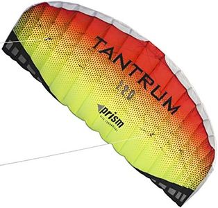 Prism Kite Technology Tantrum 220 Dual-line Parafoil Kite with Control Bar