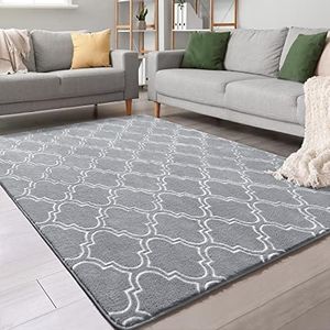 Chicrug Shag Geometric Modern Area Rug for Bedroom, 5x7 Feet Memory Foam Indoor Carpet, Fluffy Rug for Living Room Bedside Room Decor for Family Girls Kids Nursery Play Mat,Dark Grey/White