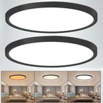 uowlbear LED Ceiling Light 2 Pack, Black Ceiling Light Switchable 3000K/4500K/6500K, 12 Inch Flush Mount Light, 28W Round Ceiling Mount Light Fixture for Kitchen, Bedroom, Living Room, Dining Room